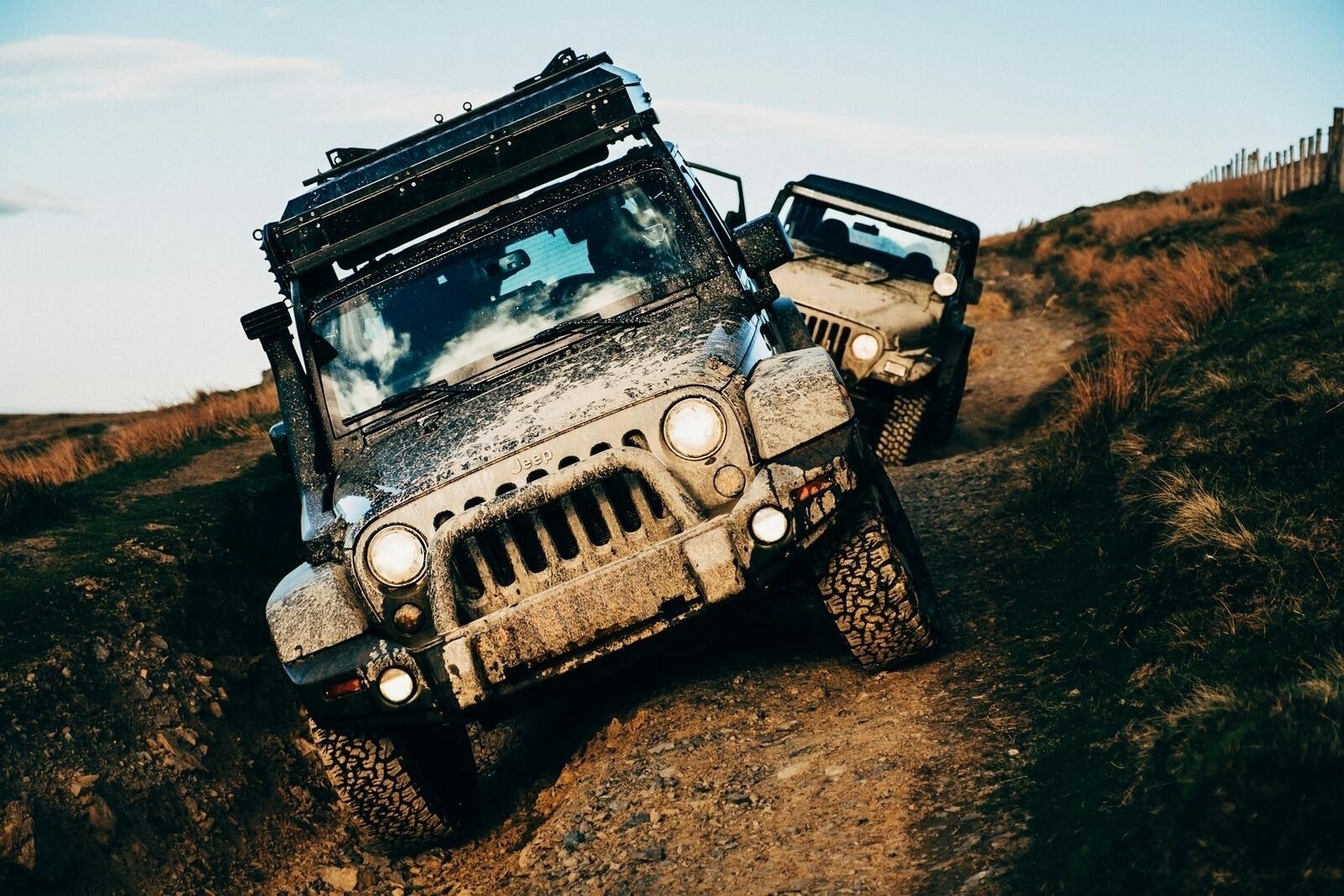 Two muddy Jeep Wranglers cresting a hill at golden hour