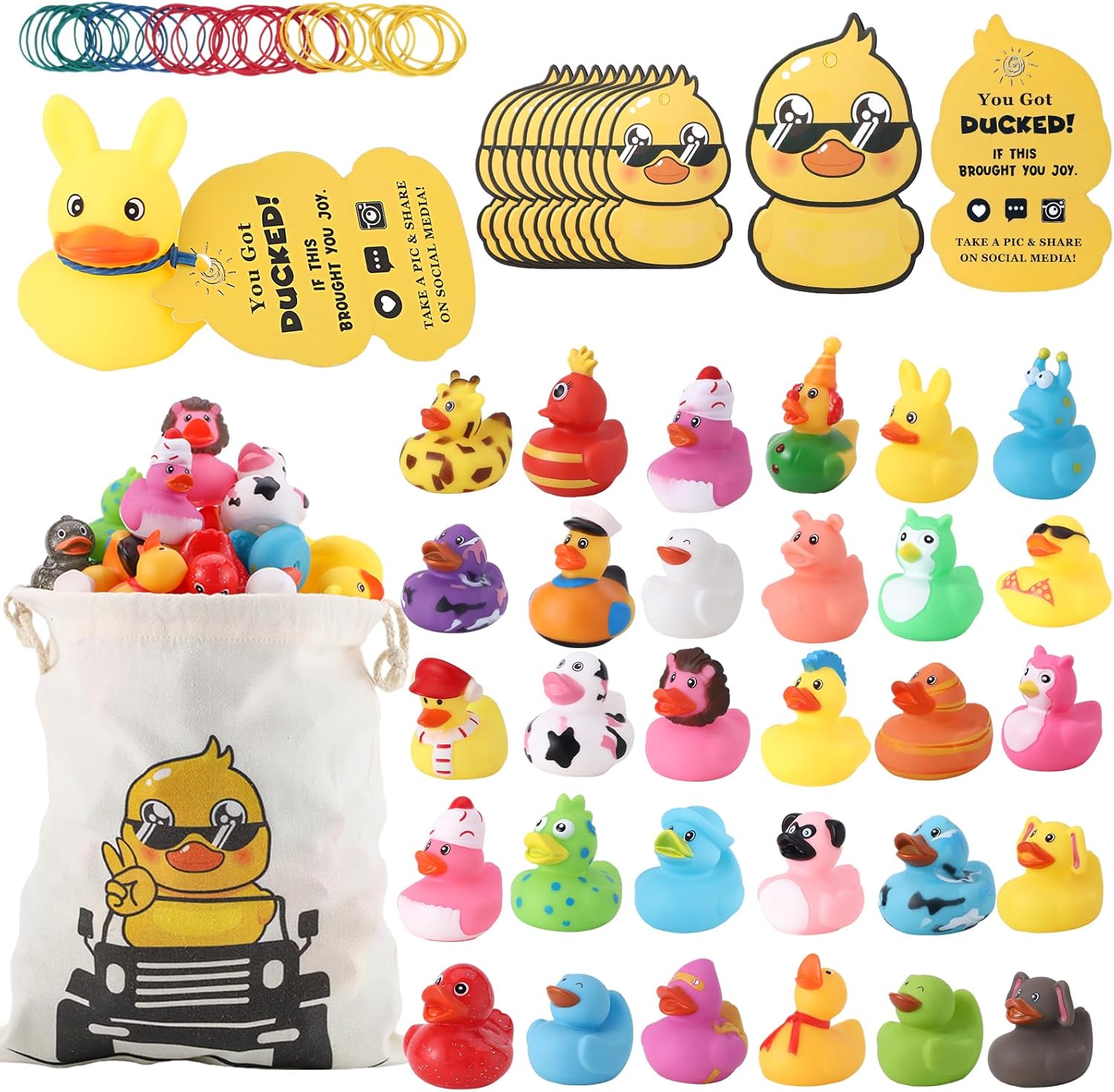 Ducking Starter Kit — 30 Ducks + Tags